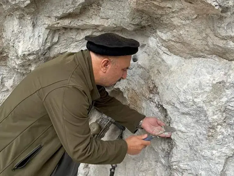 Company director examining a white rock face at a mine site.