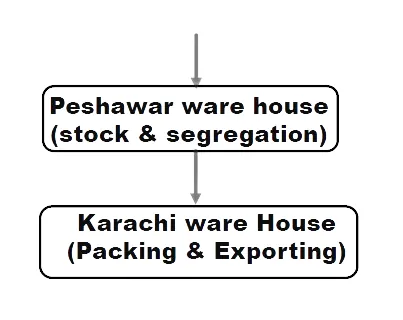 Flow diagram: Peshawar warehouse for stock and segregation, then Karachi warehouse for packing and exporting.