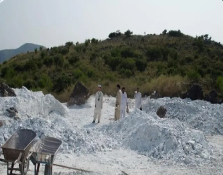 Men standing on white mineral dumps on a green hillside with wheelbarrows.